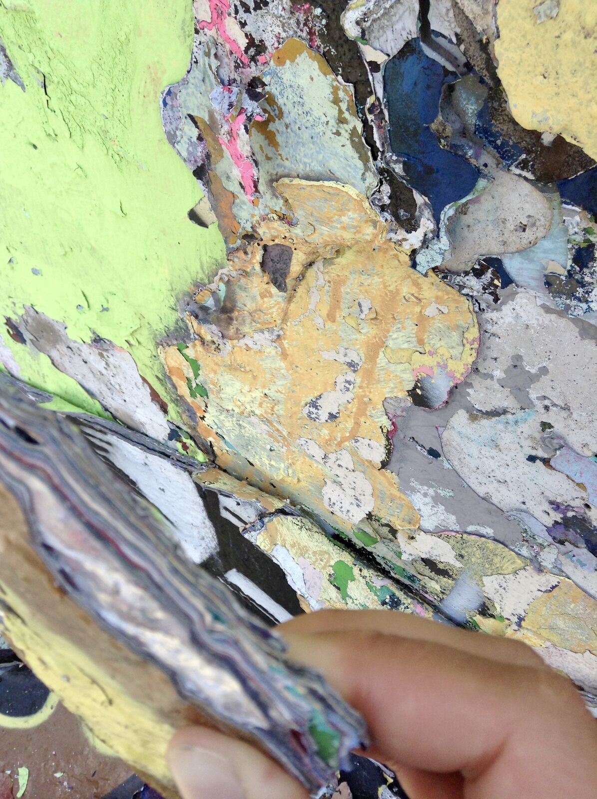 fullsizeoutput_ade fullsizeoutput_ade