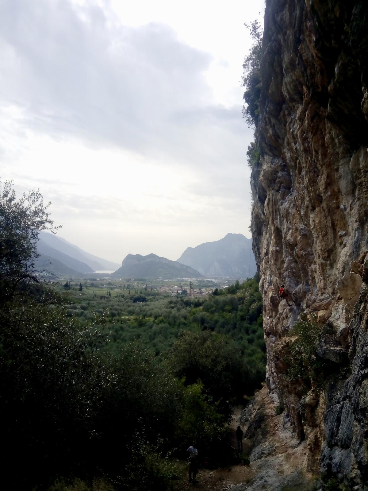 fullsizeoutput_298 fullsizeoutput_298