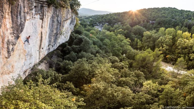 22051165_800925230113576_1523101592071240661_o