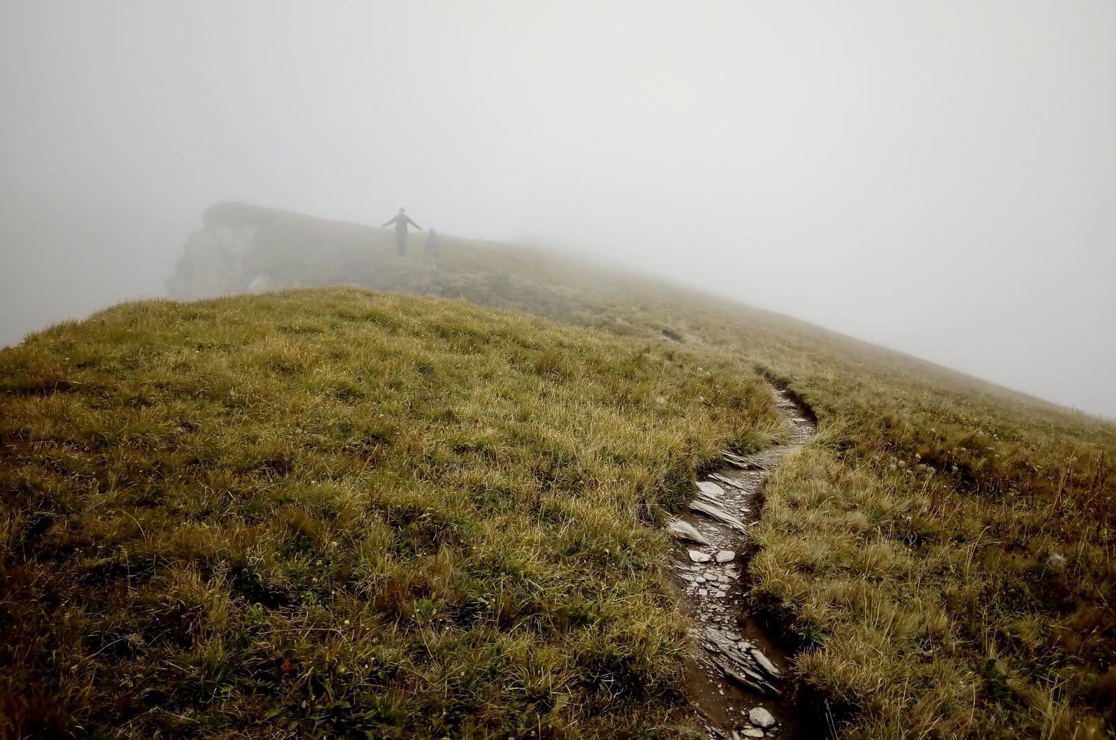 fullsizeoutput_38a fullsizeoutput_38a