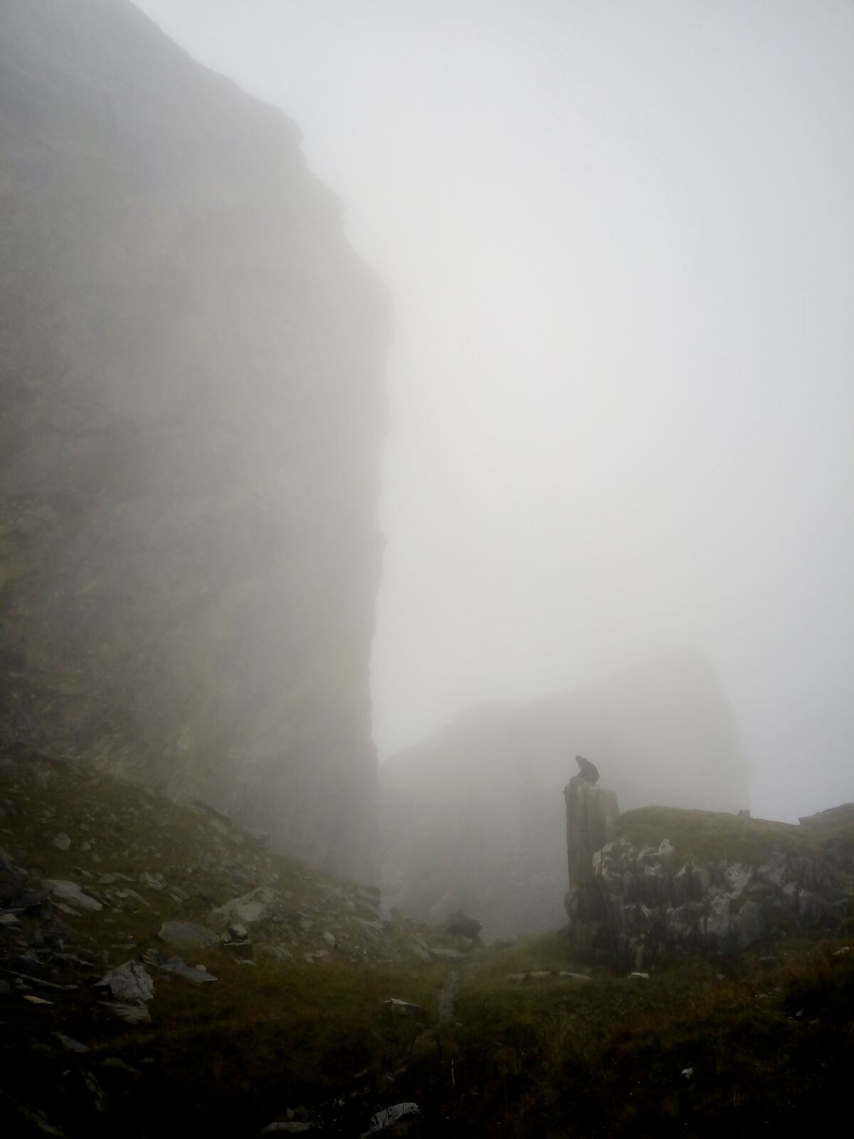 fullsizeoutput_396 fullsizeoutput_396