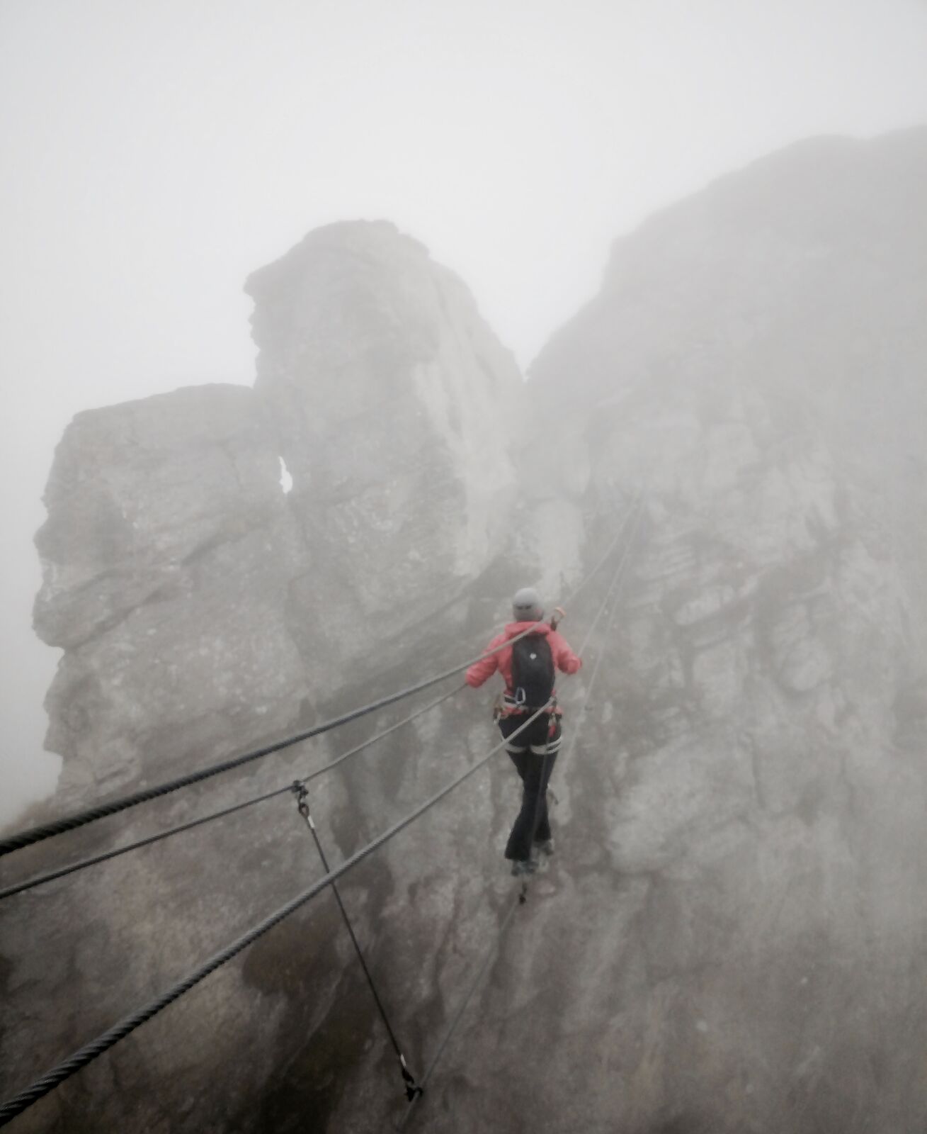 fullsizeoutput_3a0 fullsizeoutput_3a0