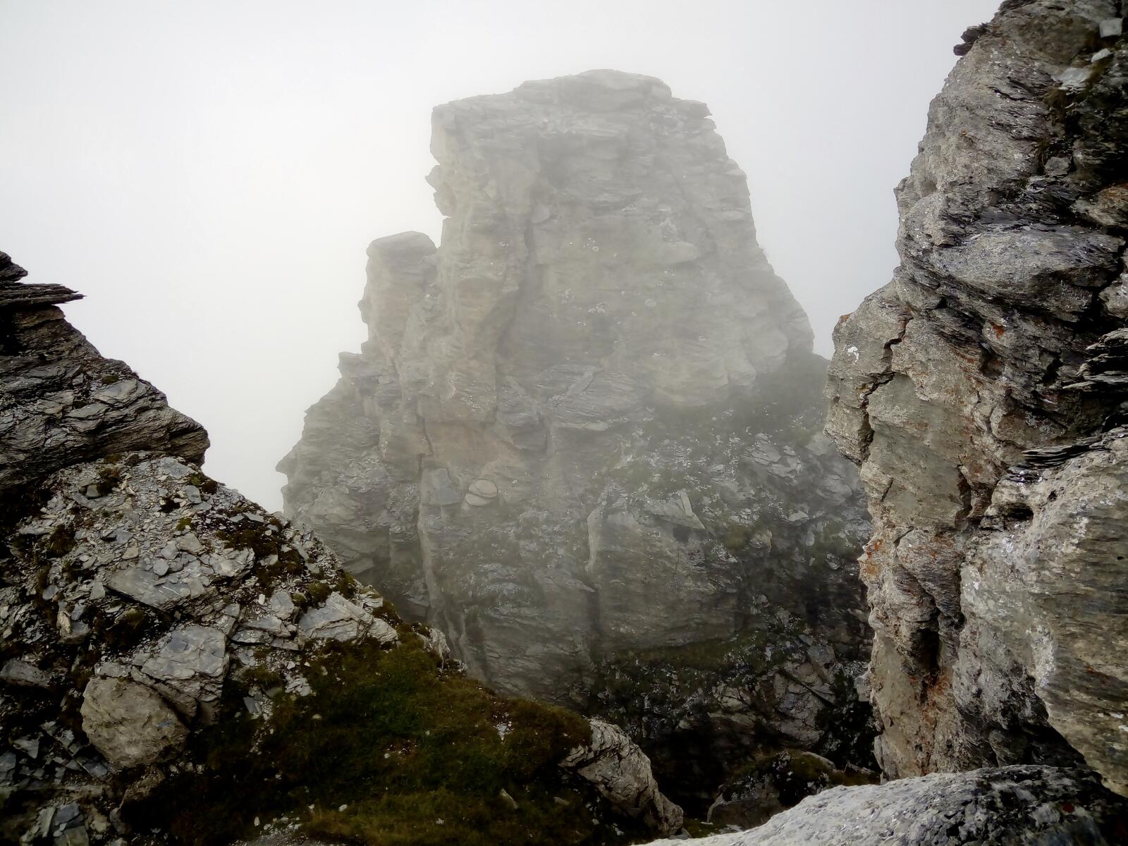 fullsizeoutput_3a1 fullsizeoutput_3a1