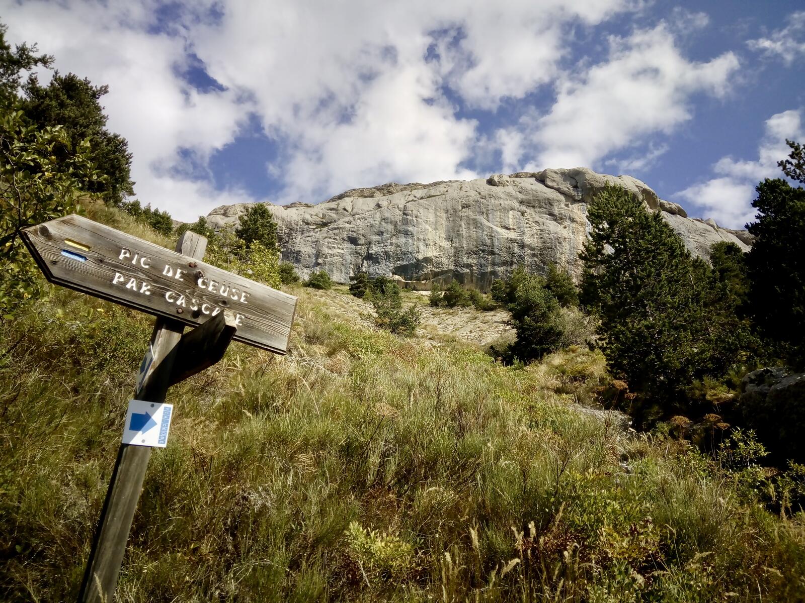 fullsizeoutput_3f1 fullsizeoutput_3f1