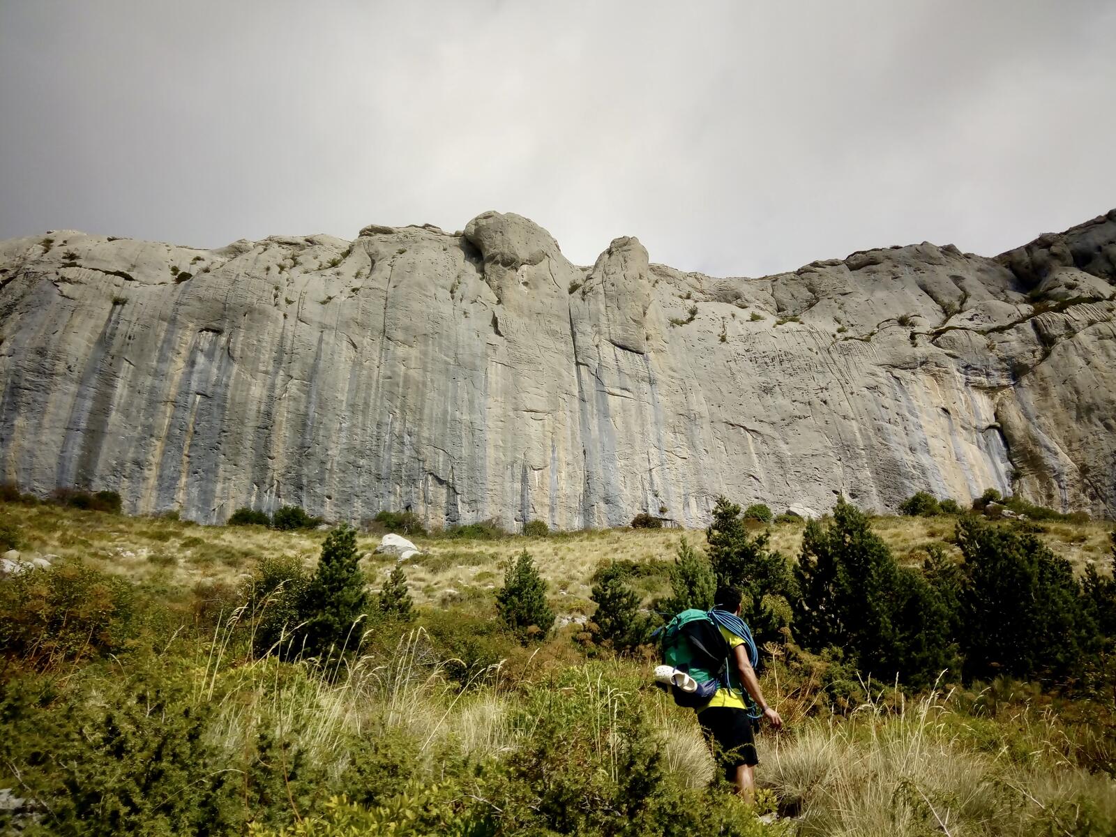 fullsizeoutput_3f2 fullsizeoutput_3f2