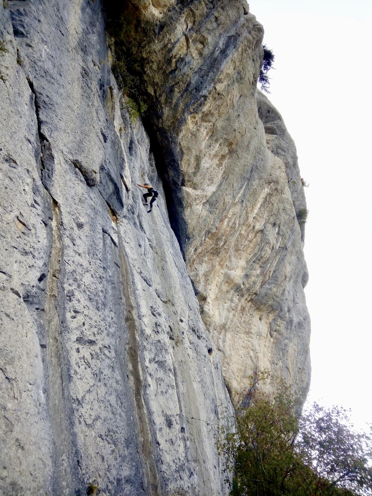 fullsizeoutput_3ff fullsizeoutput_3ff