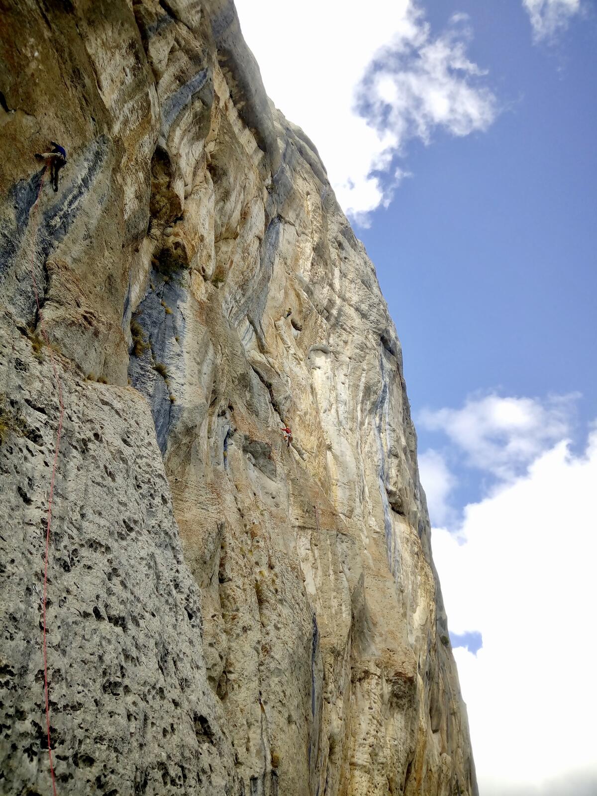 fullsizeoutput_446 Grande Face