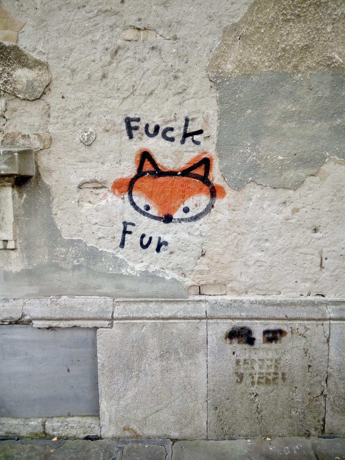 fullsizeoutput_685 fullsizeoutput_685