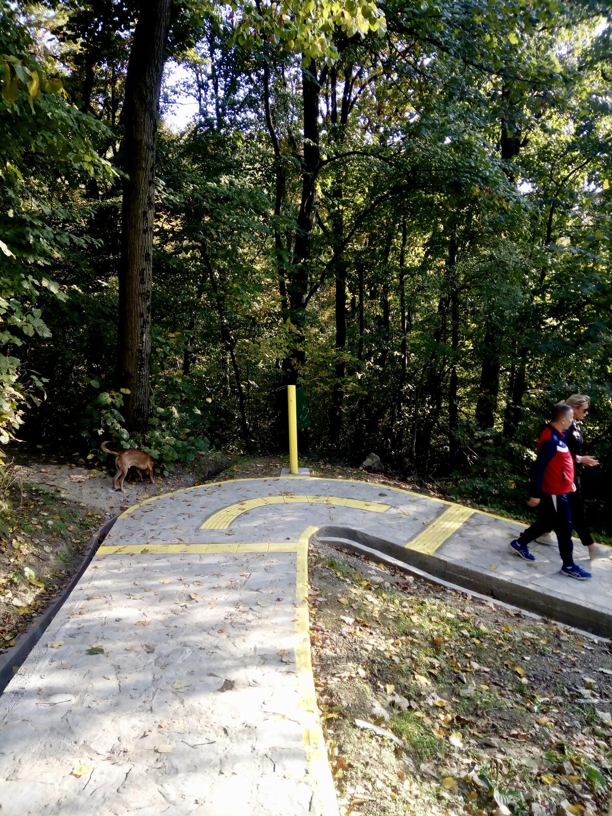 fullsizeoutput_72f fullsizeoutput_72f