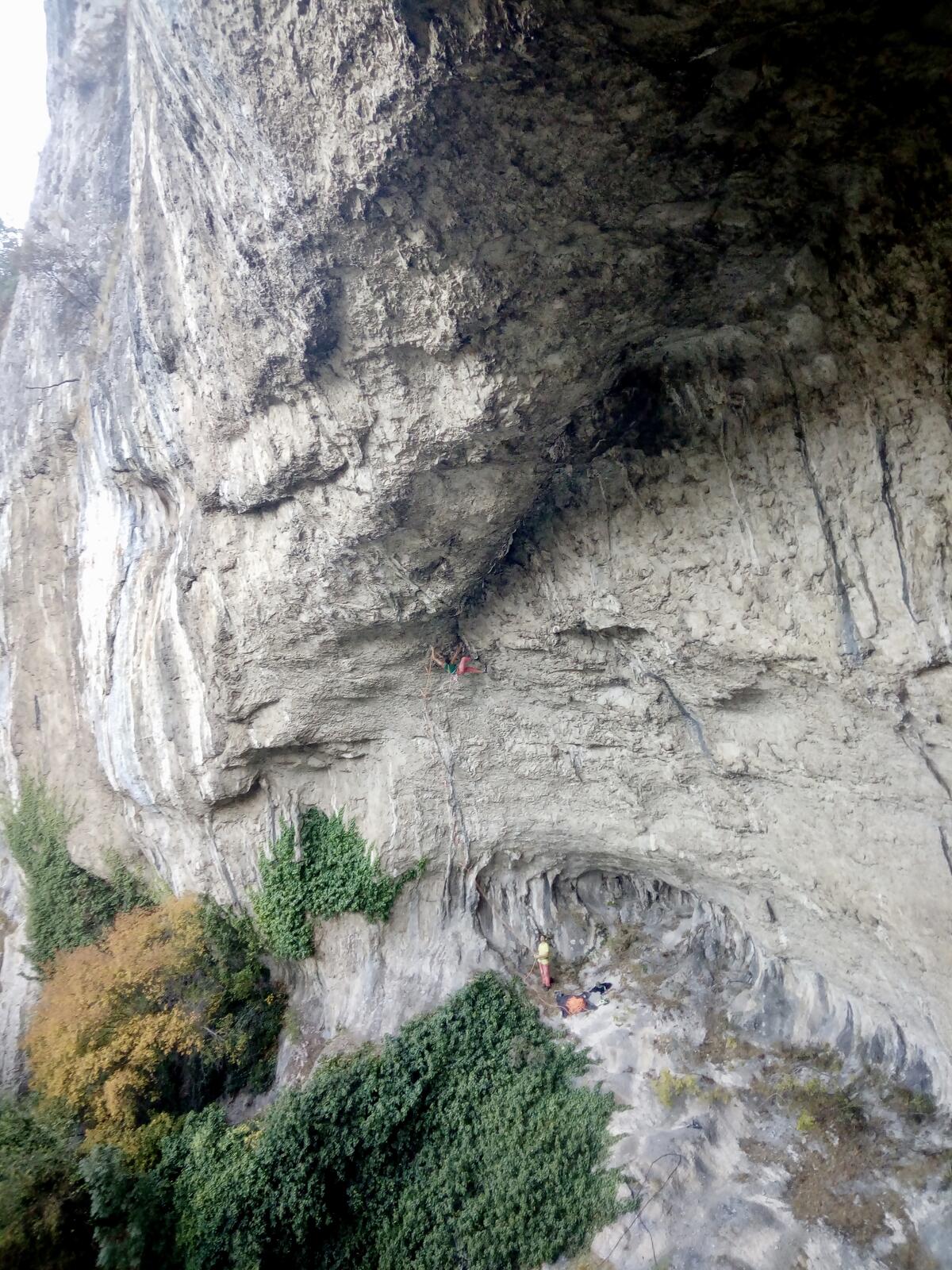 fullsizeoutput_79a fullsizeoutput_79a