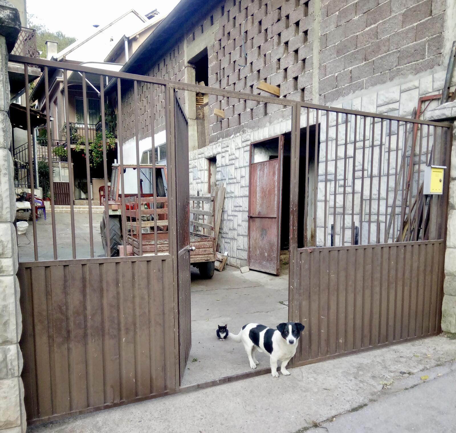 fullsizeoutput_7aa fullsizeoutput_7aa