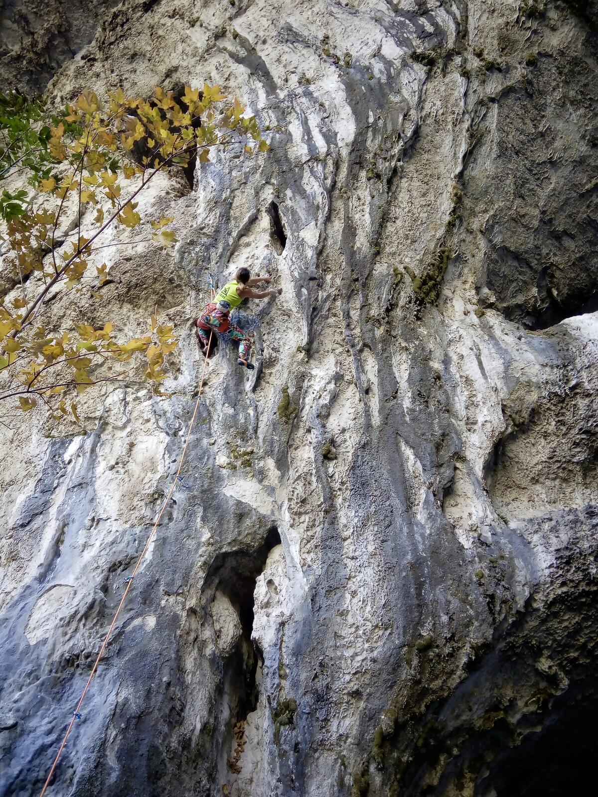 fullsizeoutput_7b1 fullsizeoutput_7b1