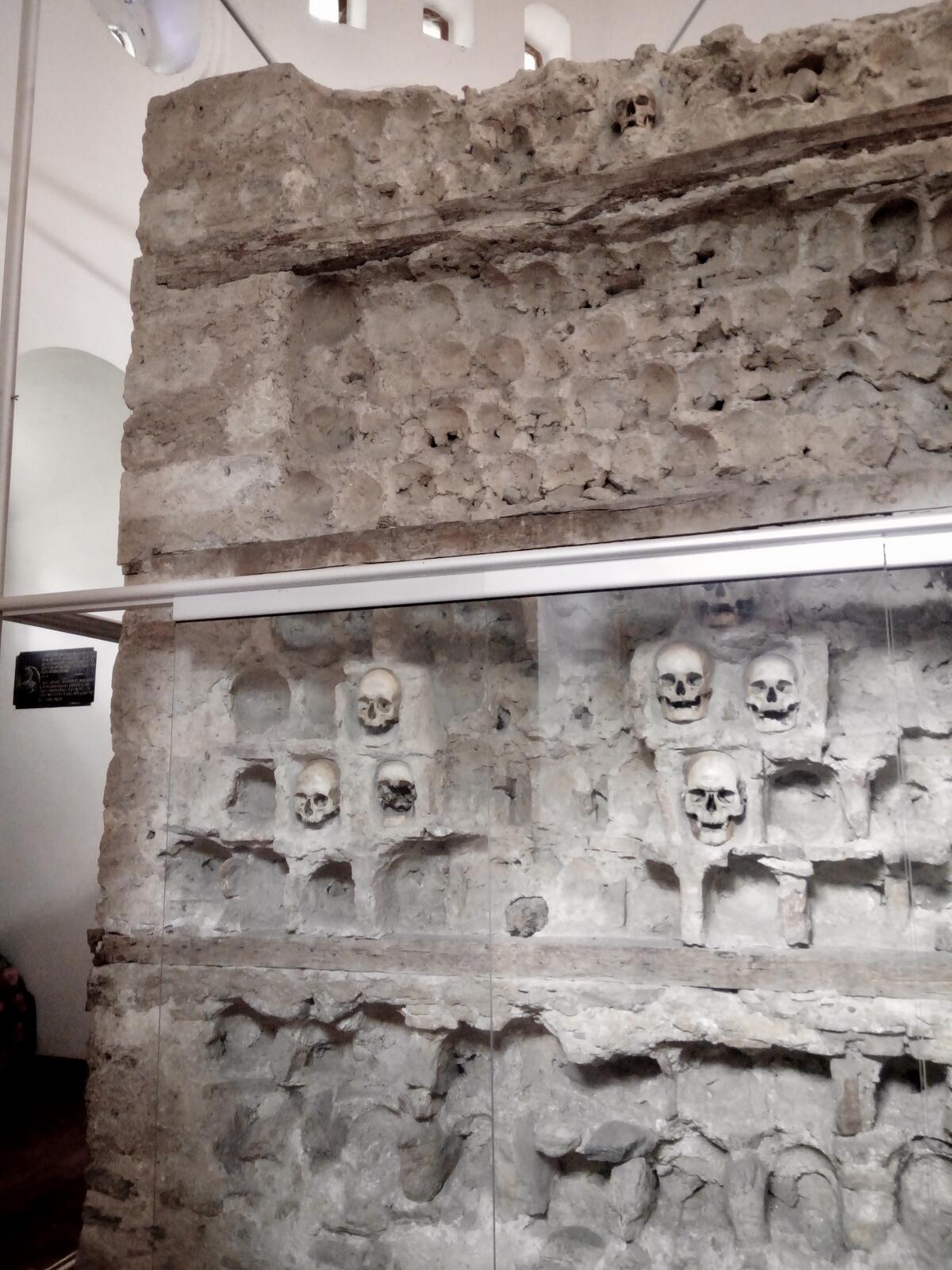 fullsizeoutput_80a fullsizeoutput_80a