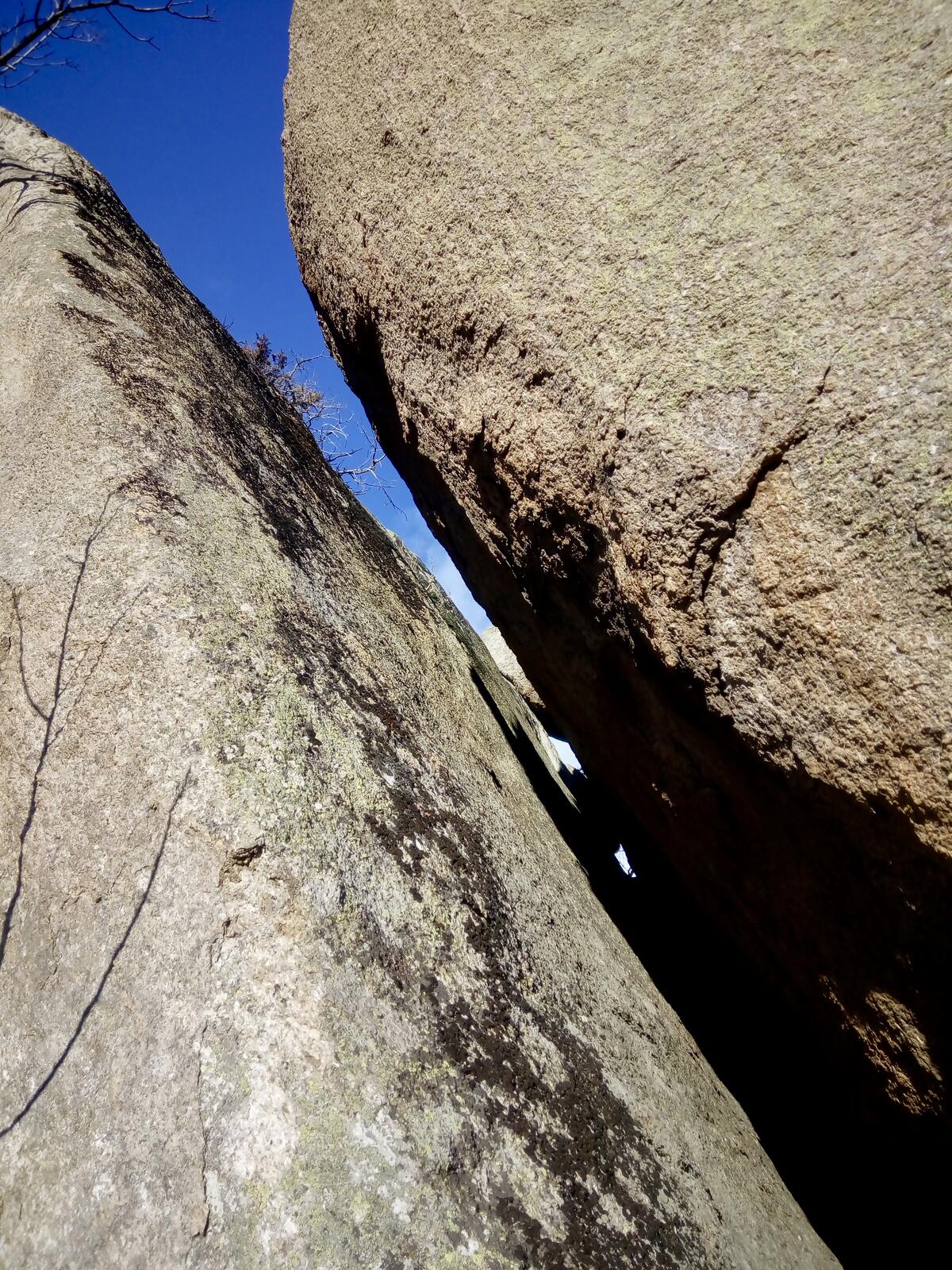 fullsizeoutput_976 fullsizeoutput_976