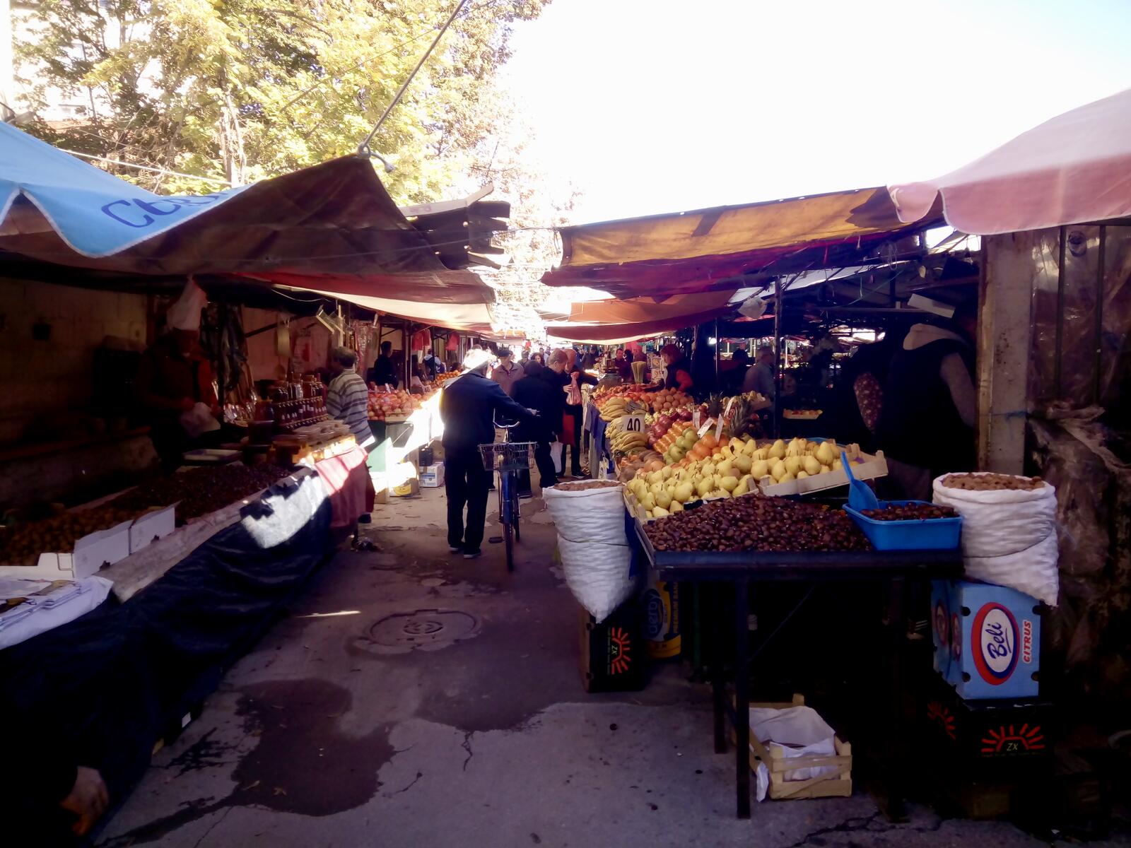 fullsizeoutput_986 fullsizeoutput_986