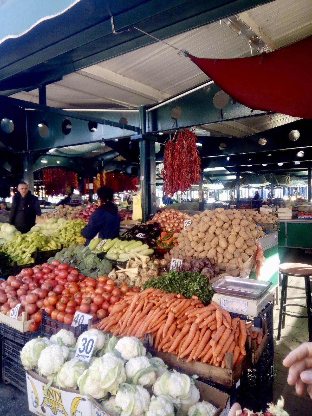 fullsizeoutput_988 fullsizeoutput_988