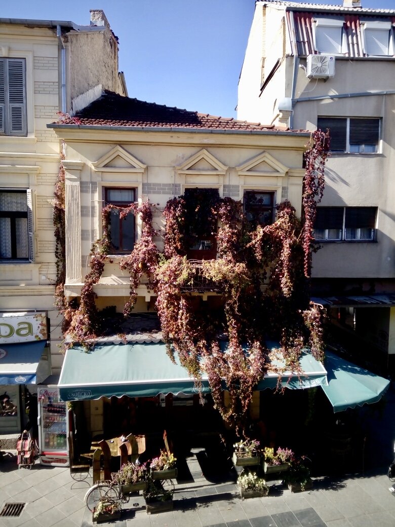 fullsizeoutput_99a fullsizeoutput_99a