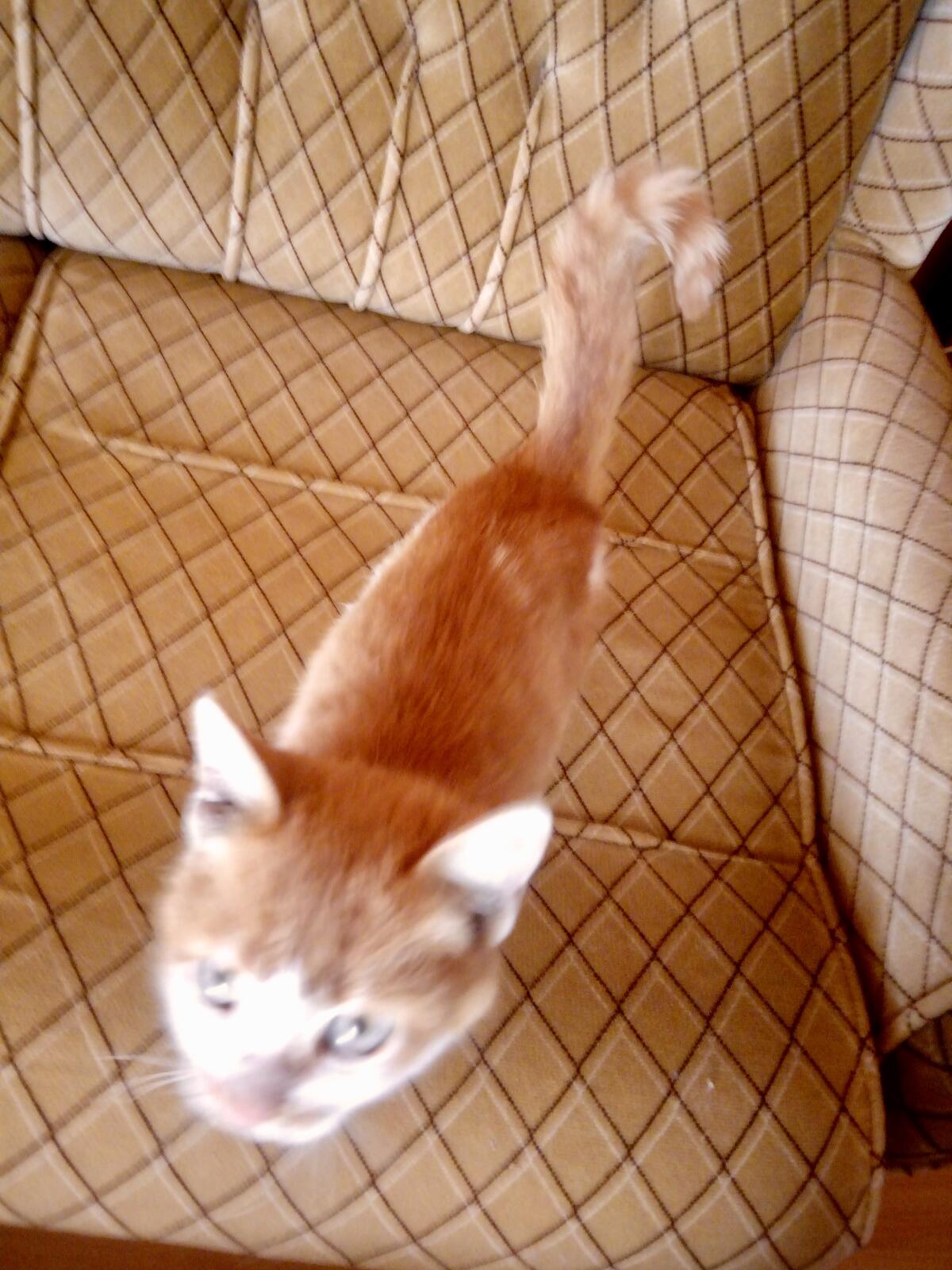 fullsizeoutput_99c fullsizeoutput_99c