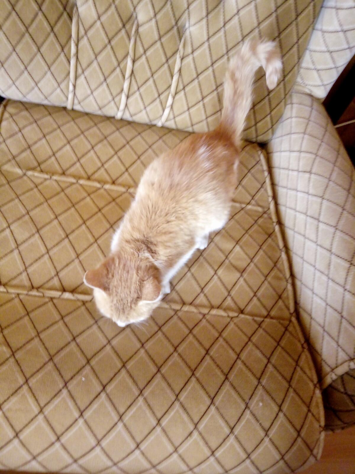 fullsizeoutput_99d fullsizeoutput_99d