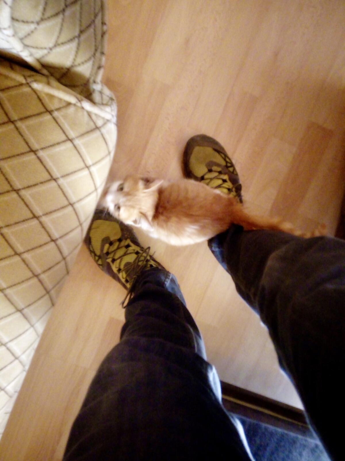 fullsizeoutput_99e fullsizeoutput_99e