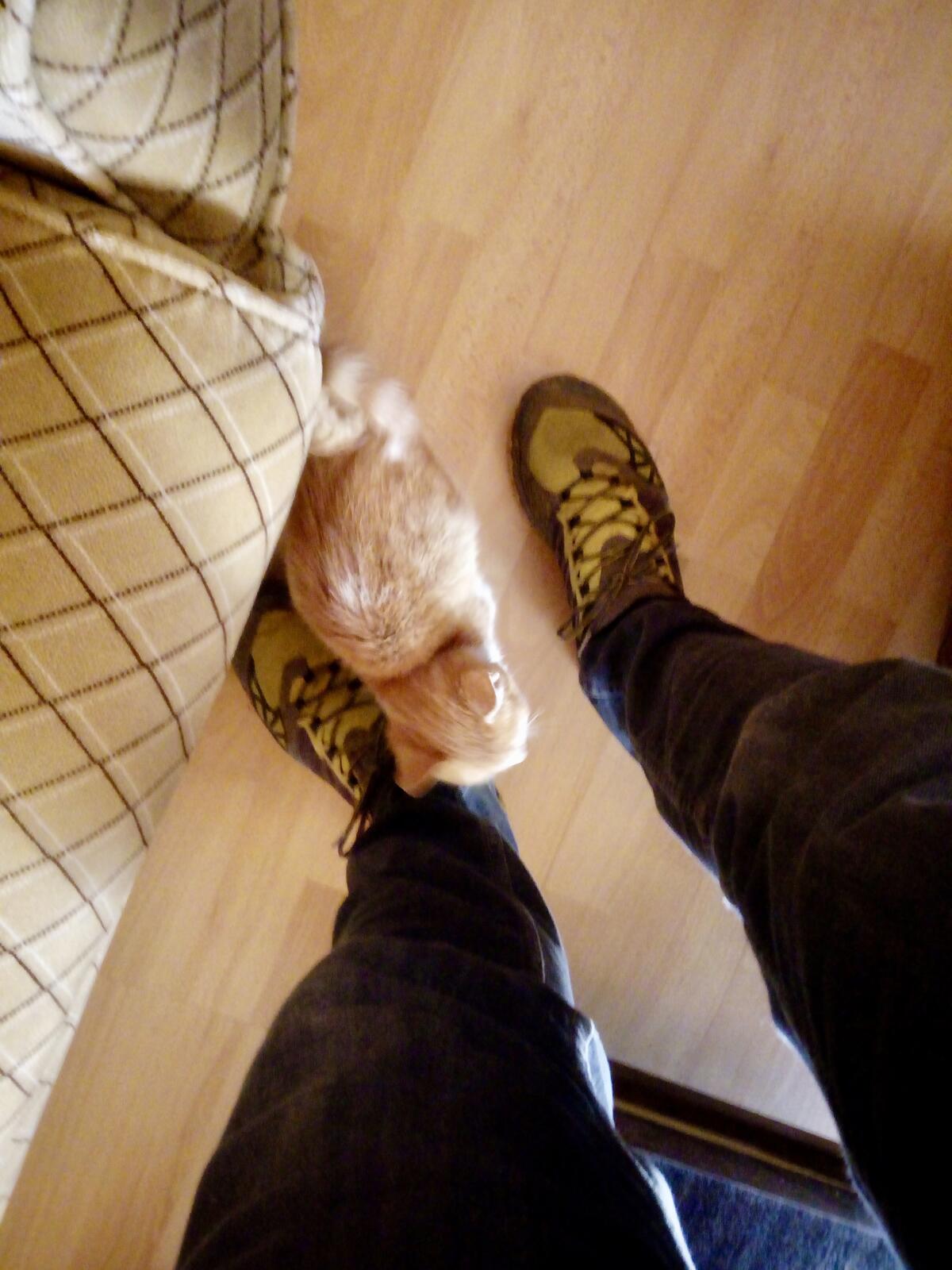 fullsizeoutput_99f fullsizeoutput_99f