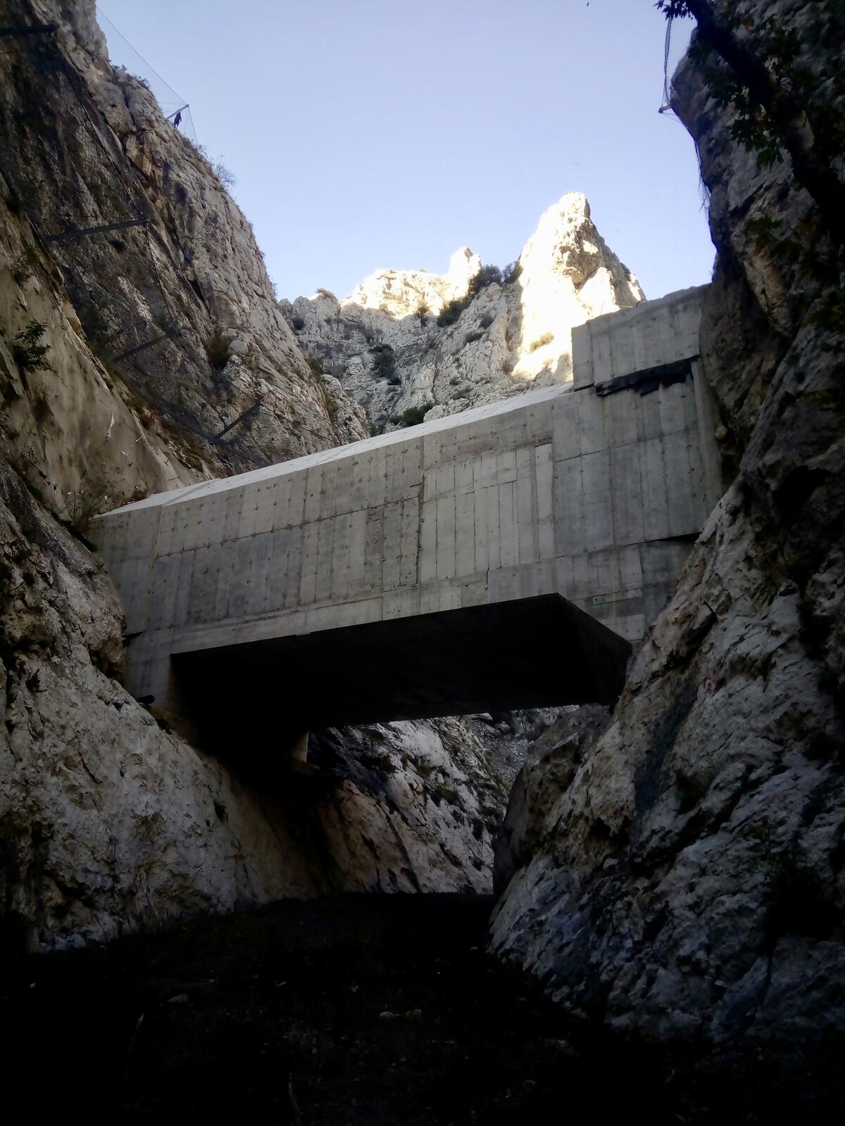 fullsizeoutput_9a5 fullsizeoutput_9a5