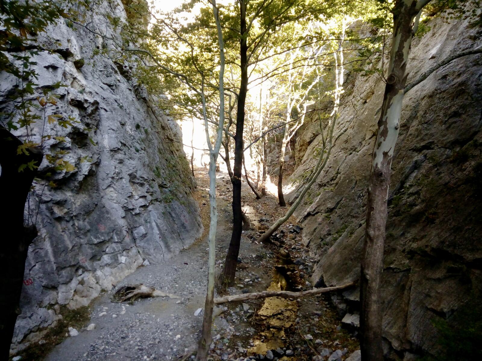 fullsizeoutput_9a7 fullsizeoutput_9a7