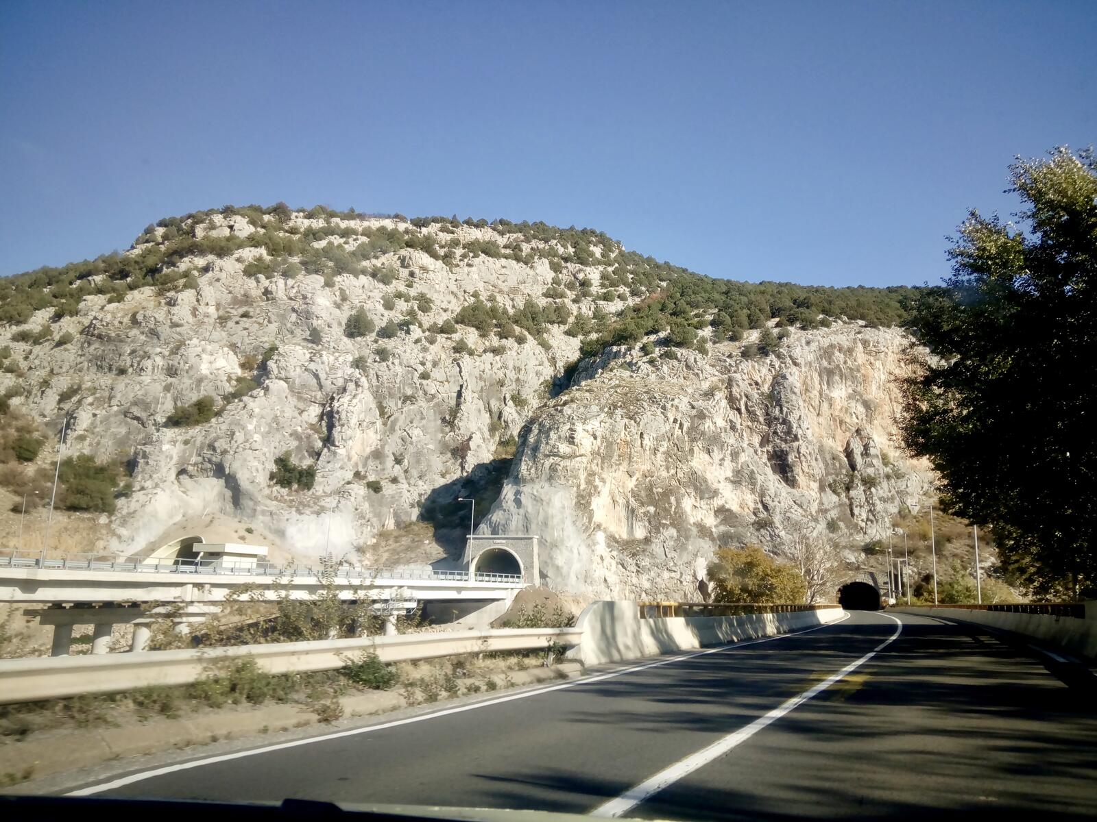 fullsizeoutput_9a8 fullsizeoutput_9a8