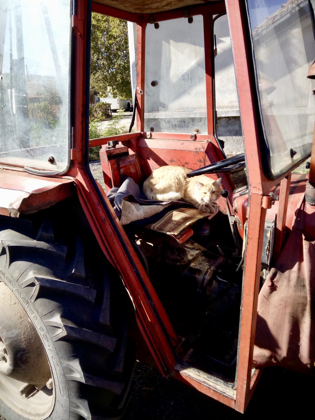 fullsizeoutput_9ab fullsizeoutput_9ab