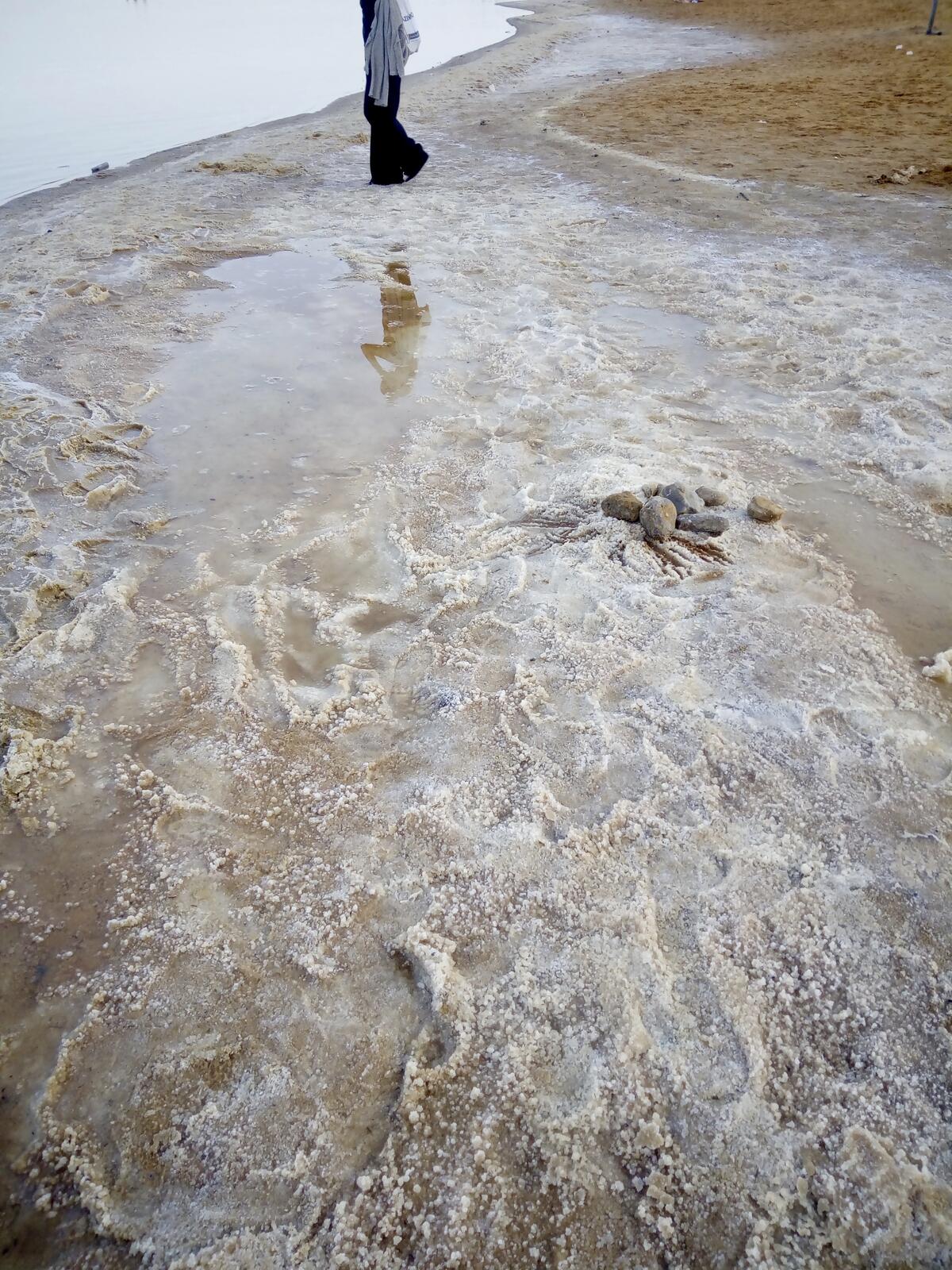 fullsizeoutput_b2a fullsizeoutput_b2a