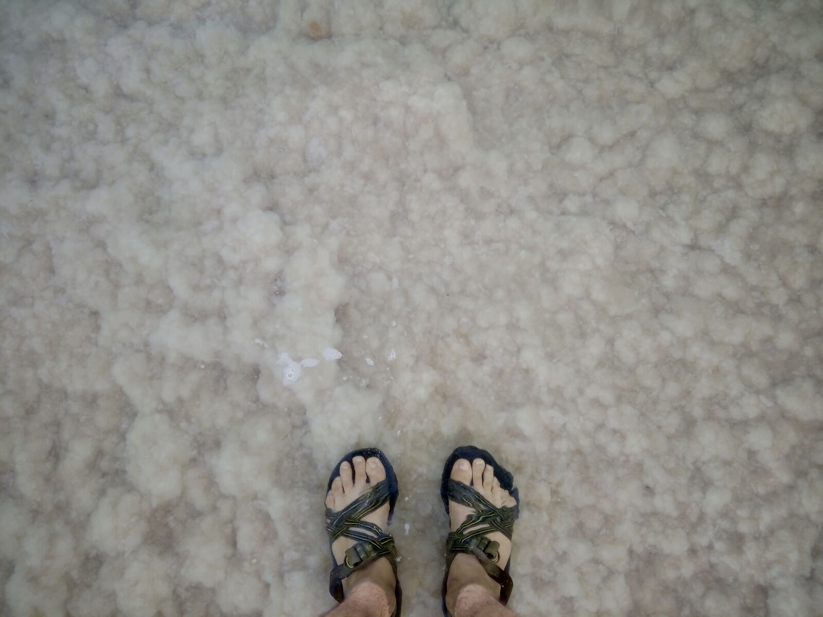 fullsizeoutput_b2c fullsizeoutput_b2c