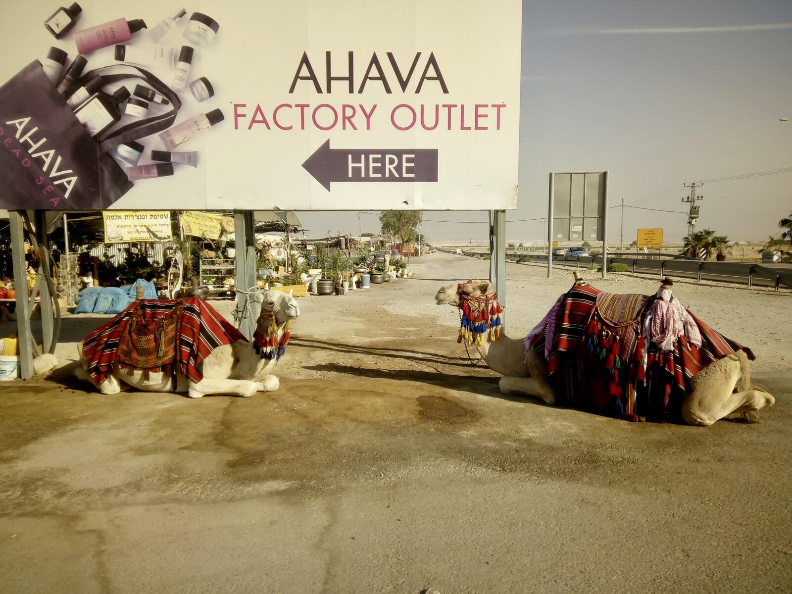 fullsizeoutput_b36 fullsizeoutput_b36