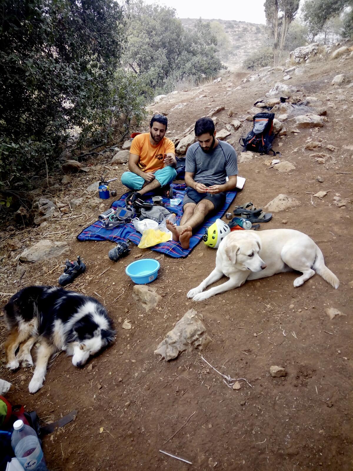 fullsizeoutput_b62 fullsizeoutput_b62