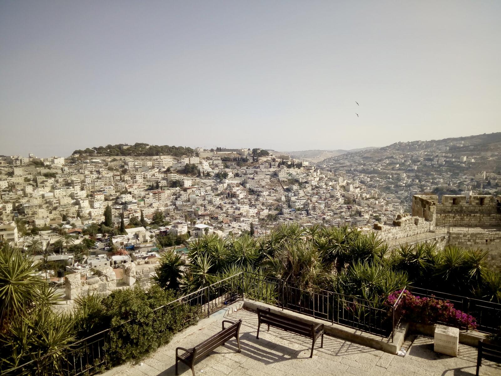 fullsizeoutput_b77 fullsizeoutput_b77