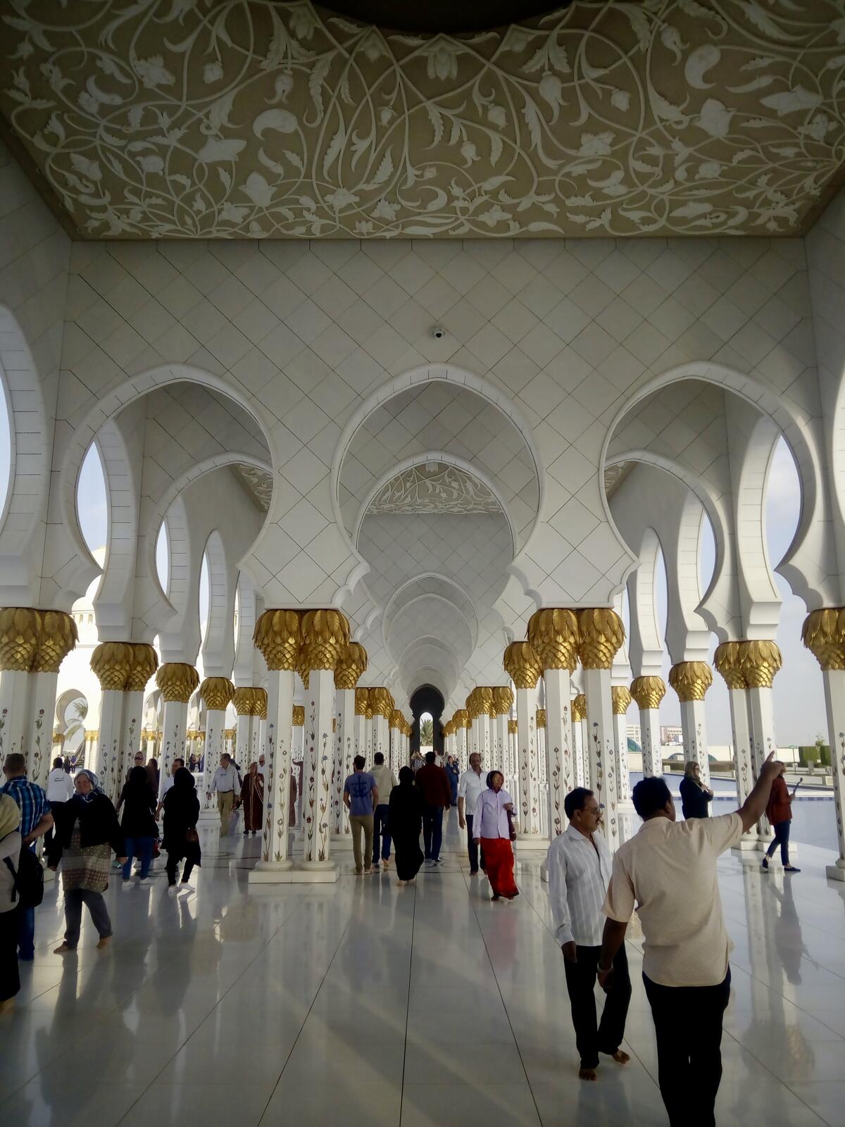 fullsizeoutput_c6a fullsizeoutput_c6a