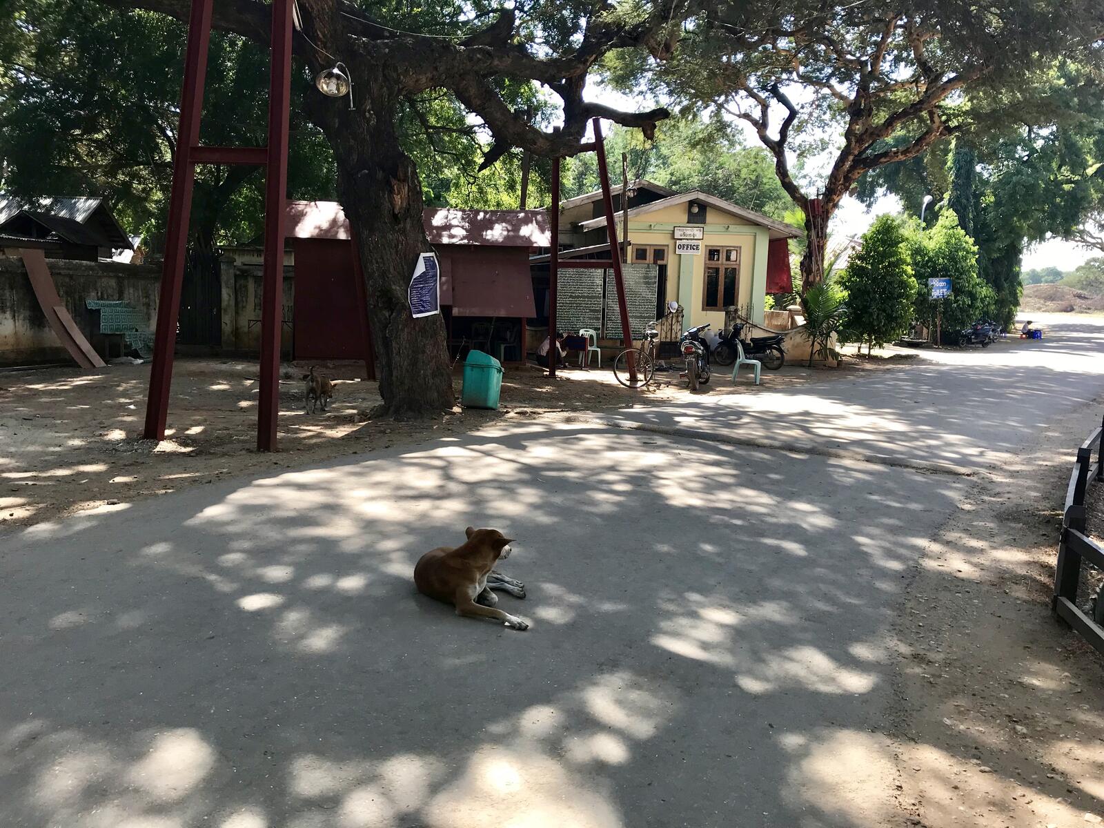 fullsizeoutput_1201 fullsizeoutput_1201