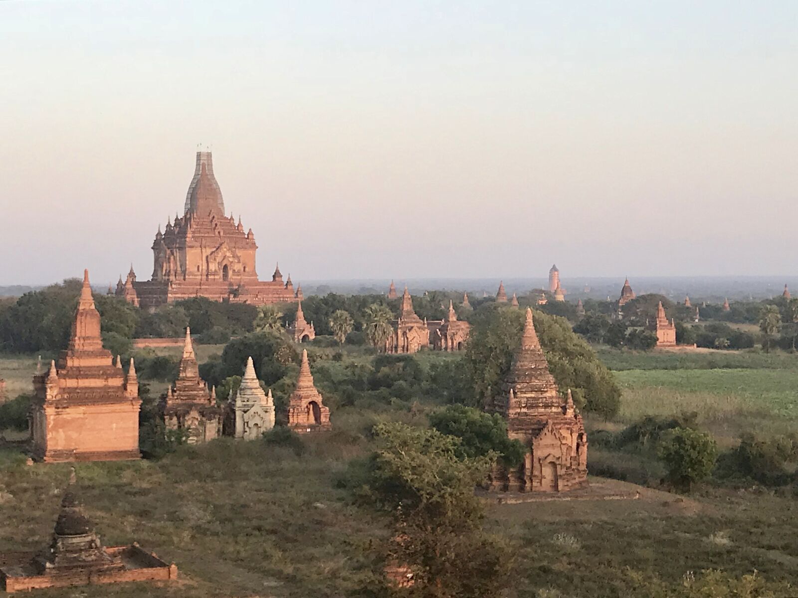 fullsizeoutput_1223 fullsizeoutput_1223