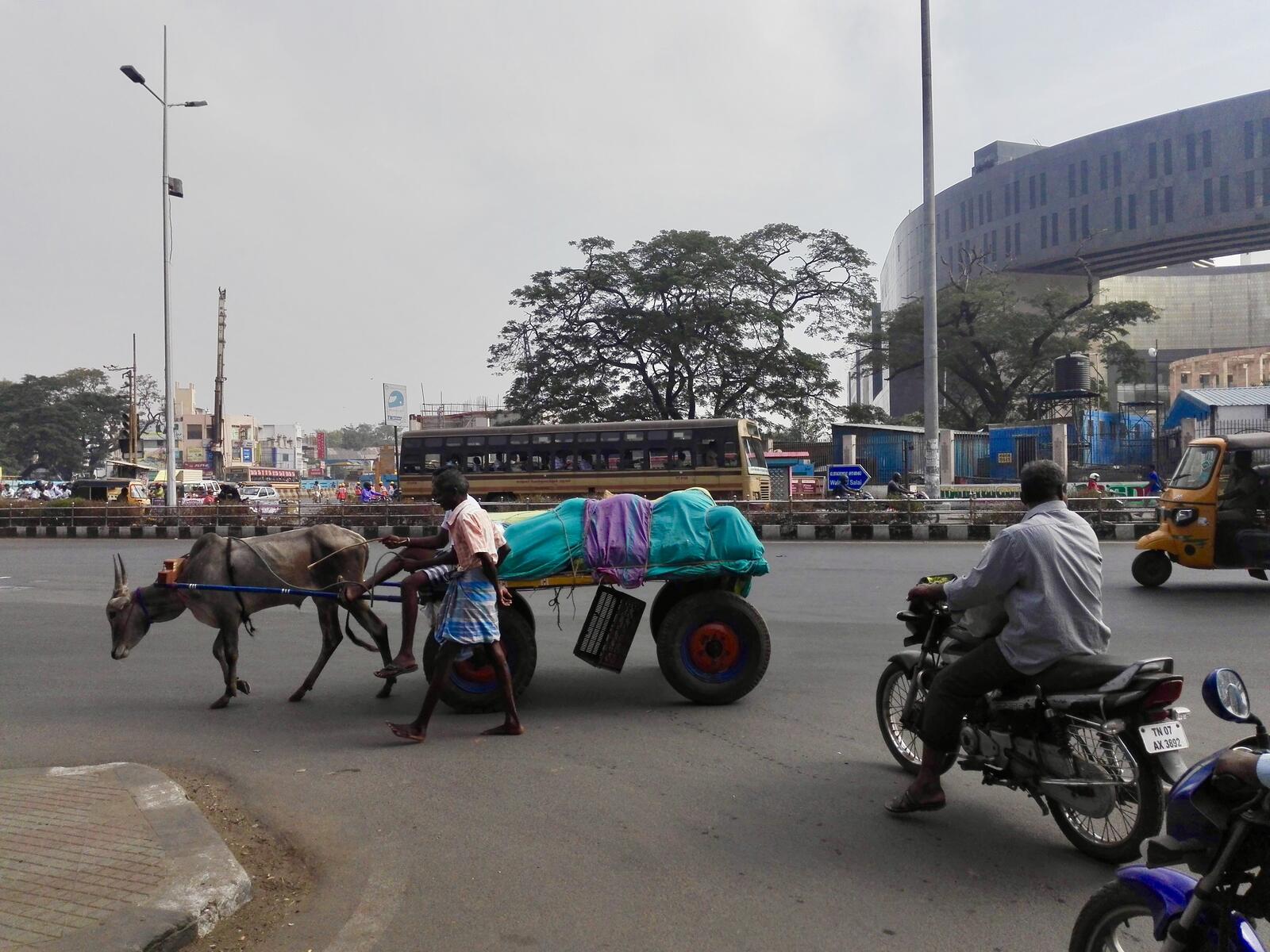 fullsizeoutput_1465 fullsizeoutput_1465