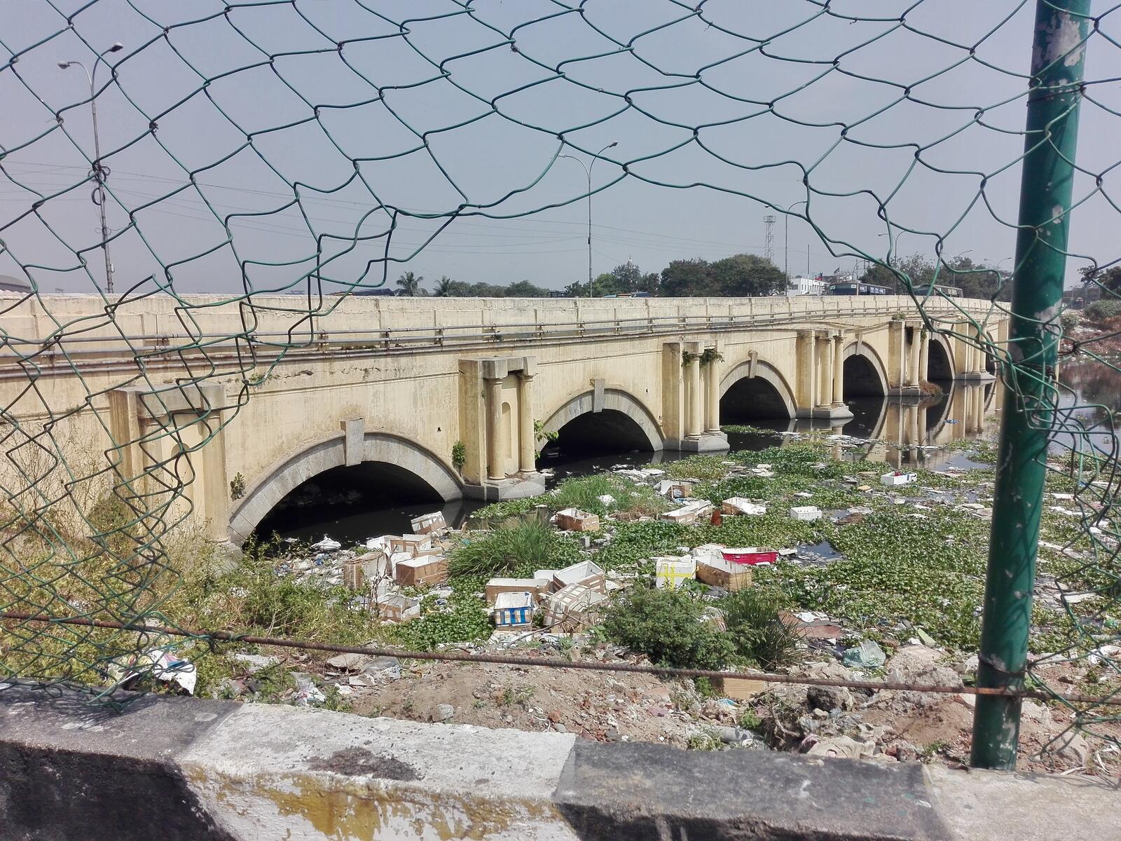 fullsizeoutput_146e fullsizeoutput_146e