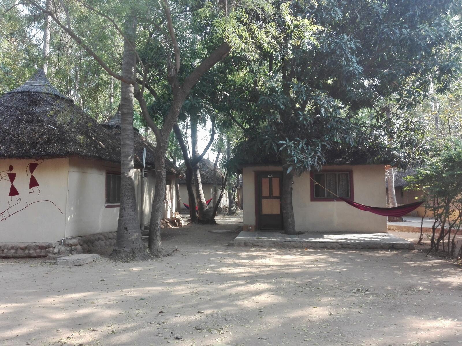 fullsizeoutput_162f fullsizeoutput_162f