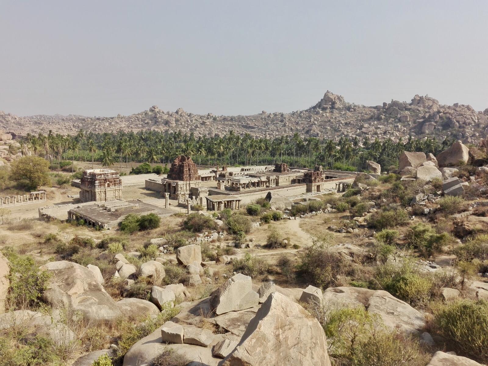 fullsizeoutput_168b fullsizeoutput_168b