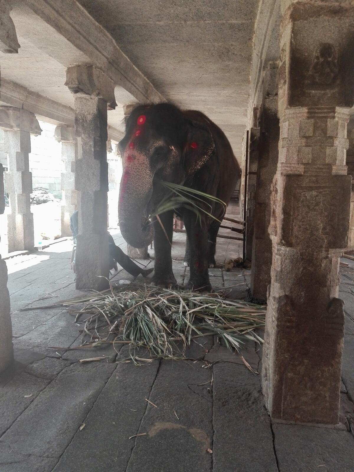 fullsizeoutput_169d fullsizeoutput_169d