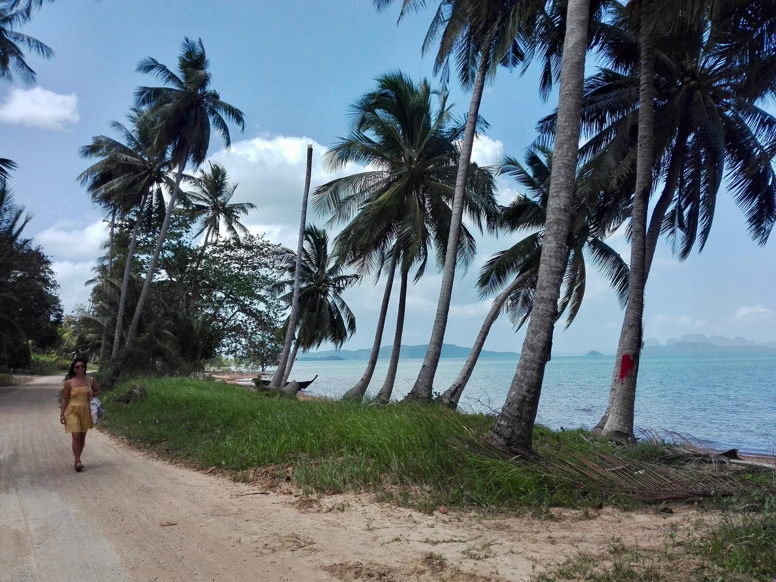 IMG_20180213_110746 IMG_20180213_110746