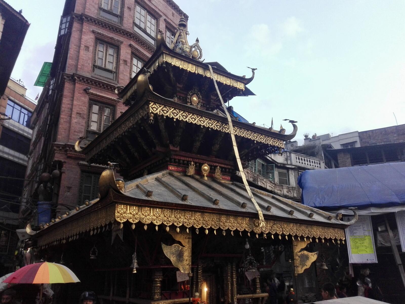 fullsizeoutput_1ab3 fullsizeoutput_1ab3