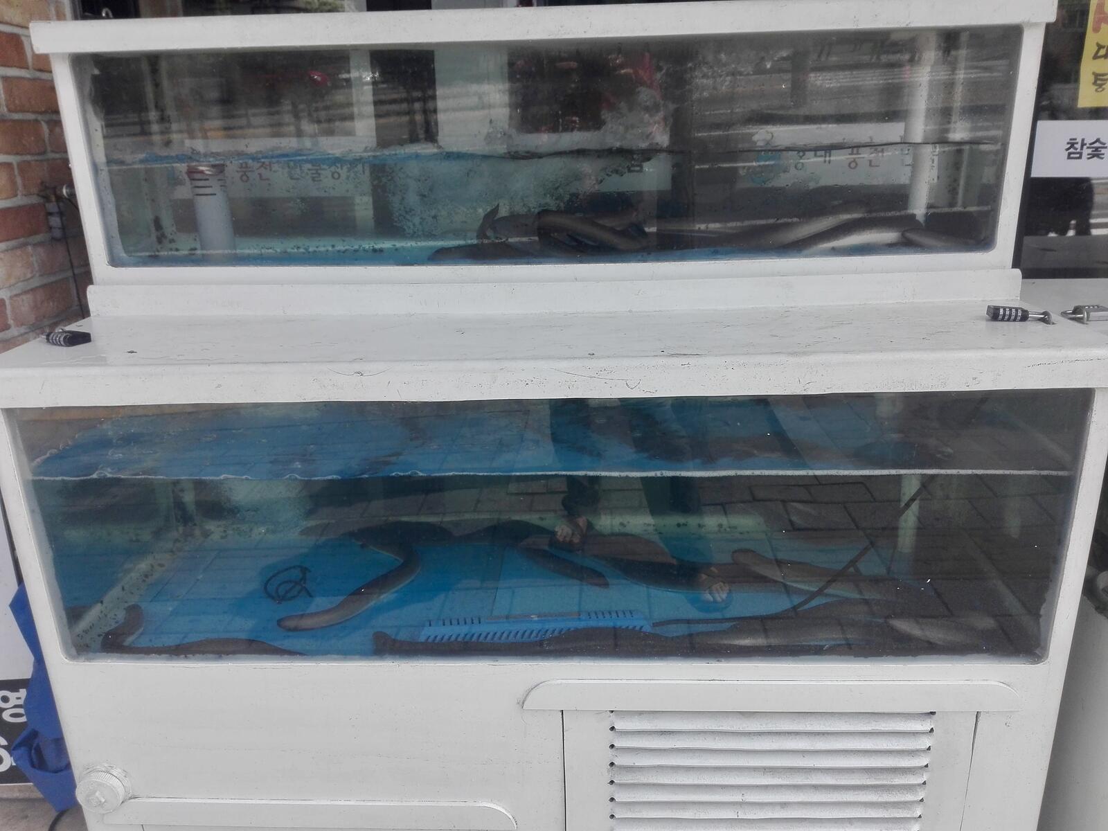 fullsizeoutput_1add fullsizeoutput_1add